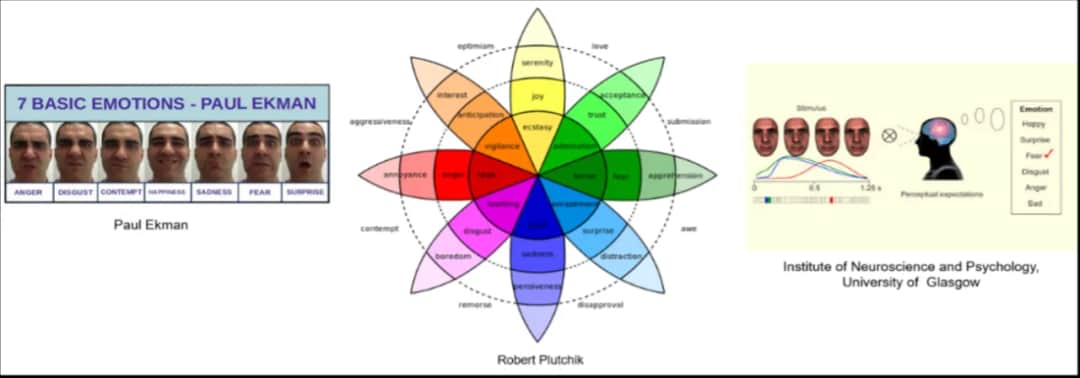 Jak człowiek może się zachować w obliczu cierpienia - analiza emocji
